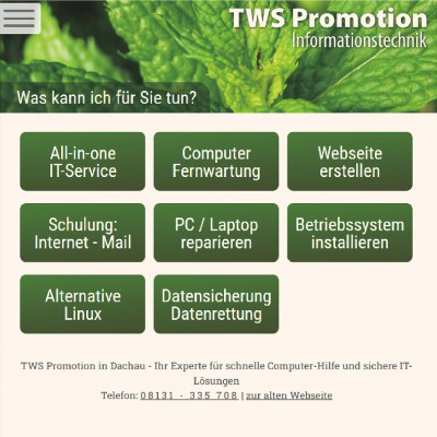 TWS Promotion