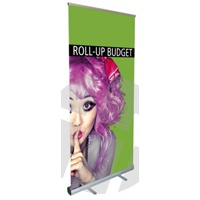 Roll-Up Budget 100_SP